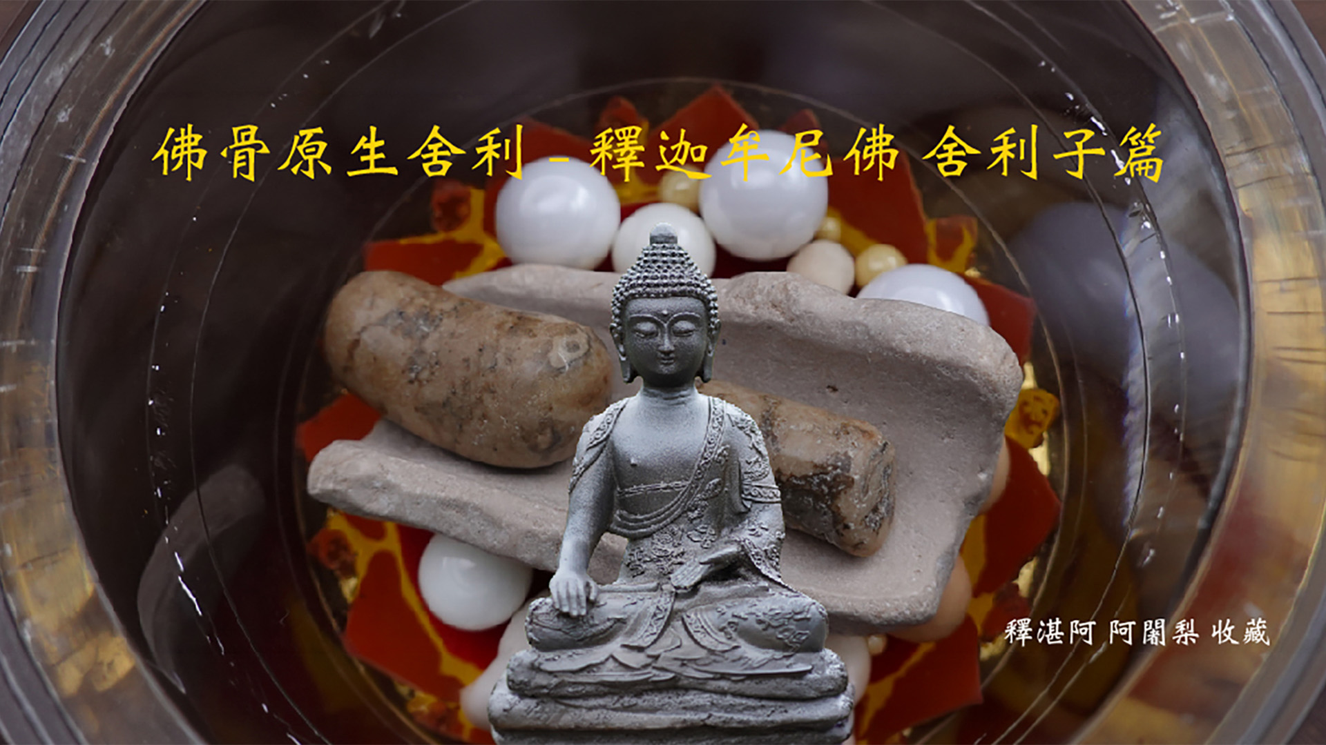 佛陀原生舍利系列封面圖
