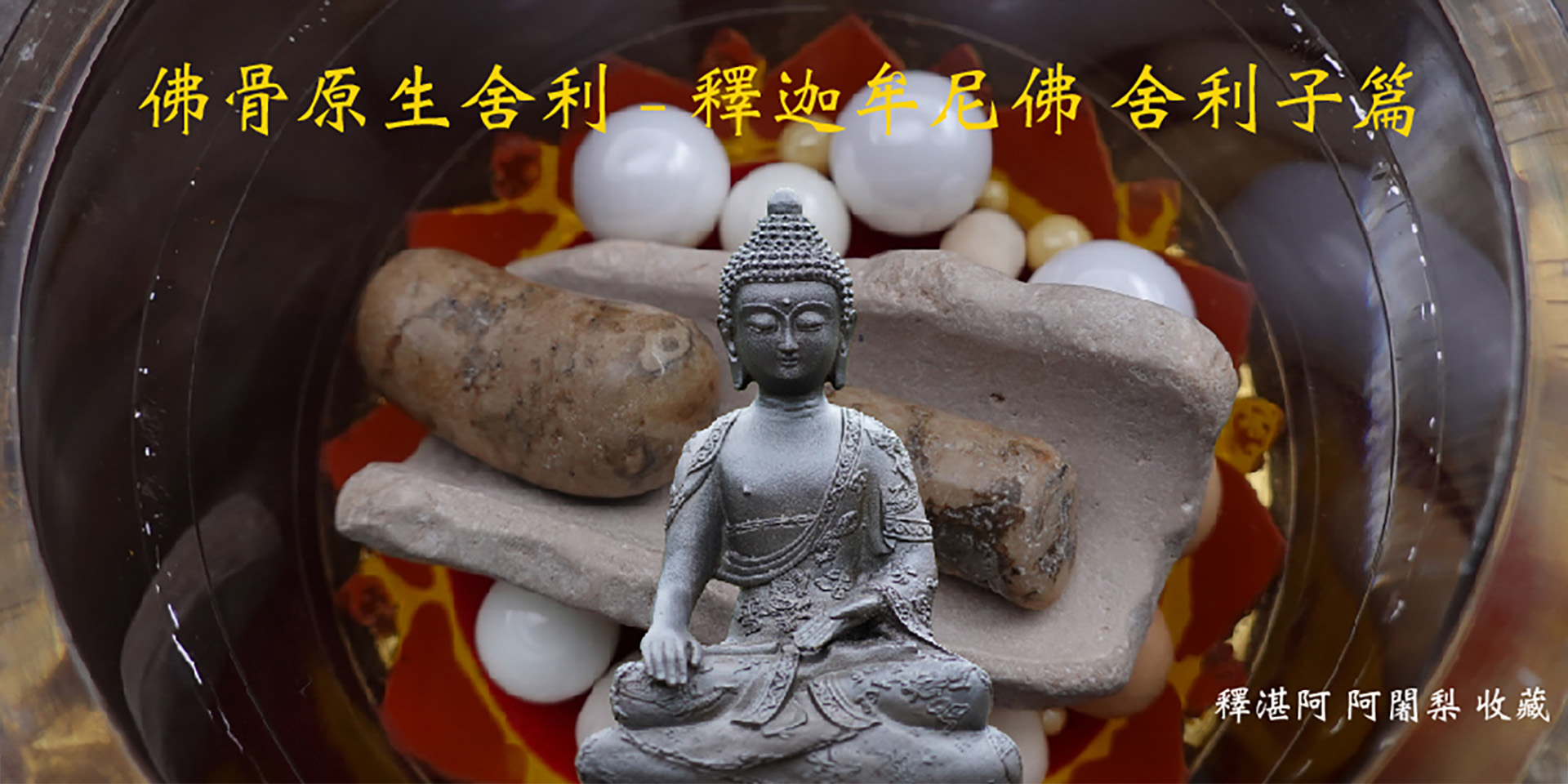 佛陀原生舍利首頁視覺圖