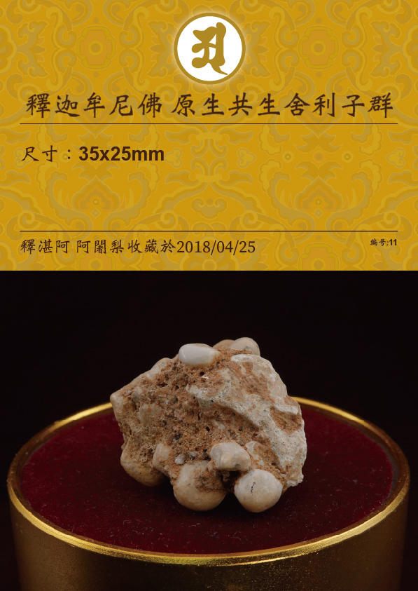 釋迦牟尼佛 原生共生舍利子群
