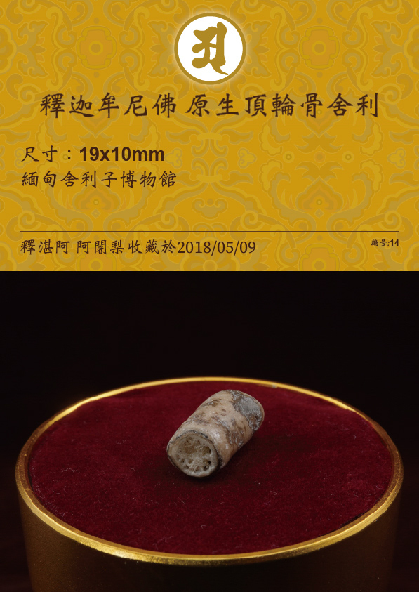 釋迦牟尼佛 原生頂輪骨舍利