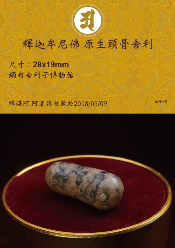 釋迦牟尼佛 原生頭骨舍利