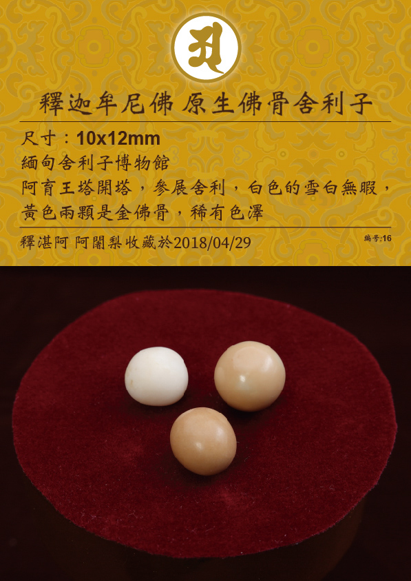 釋迦牟尼佛 原生佛骨舍利子