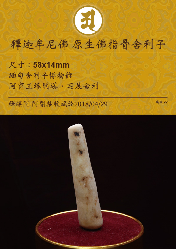 釋迦牟尼佛 原生佛指骨舍利子