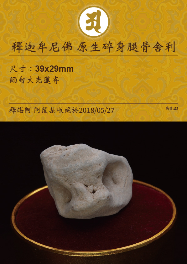 釋迦牟尼佛 原生碎身腿骨舍利