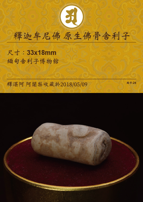 釋迦牟尼佛 原生佛骨舍利子