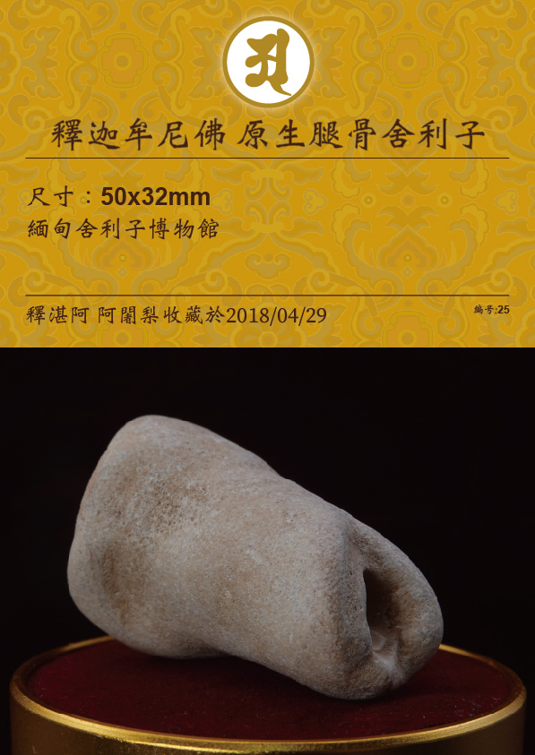 釋迦牟尼佛 原生佛腿骨舍利子