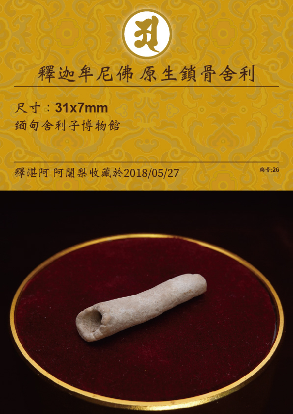 釋迦牟尼佛 原生鎖骨舍利