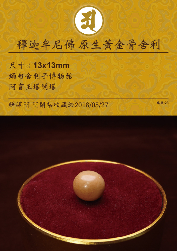 釋迦牟尼佛 原生黃金骨舍利