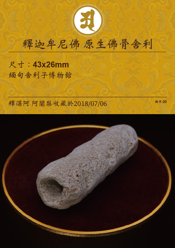釋迦牟尼佛 原生佛骨舍利