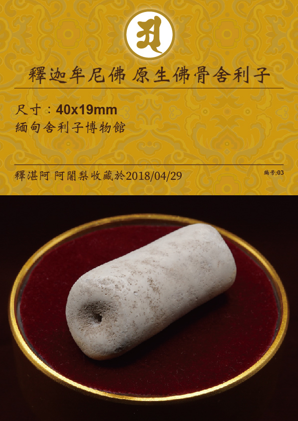 釋迦牟尼佛 原生佛骨舍利子