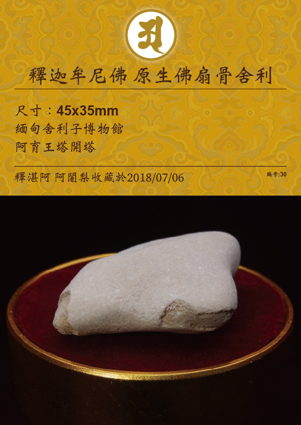 釋迦牟尼佛 原生佛扇骨舍利