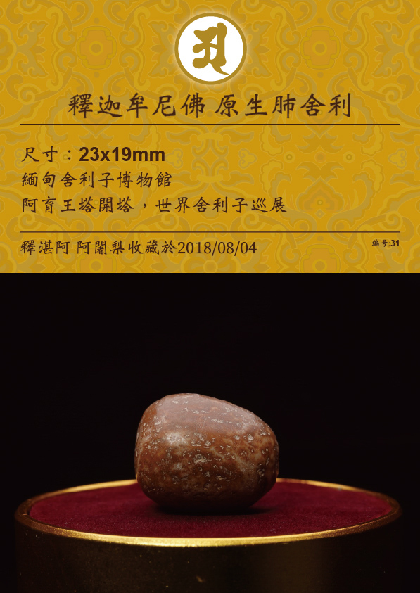 釋迦牟尼佛 原生肺舍利
