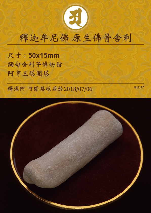 釋迦牟尼佛 原生佛骨舍利