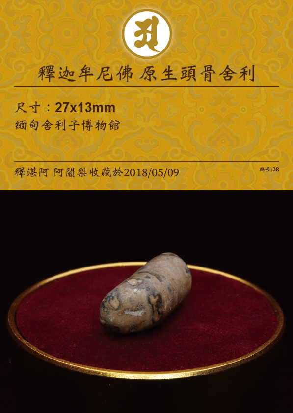 釋迦牟尼佛 原生頭骨舍利