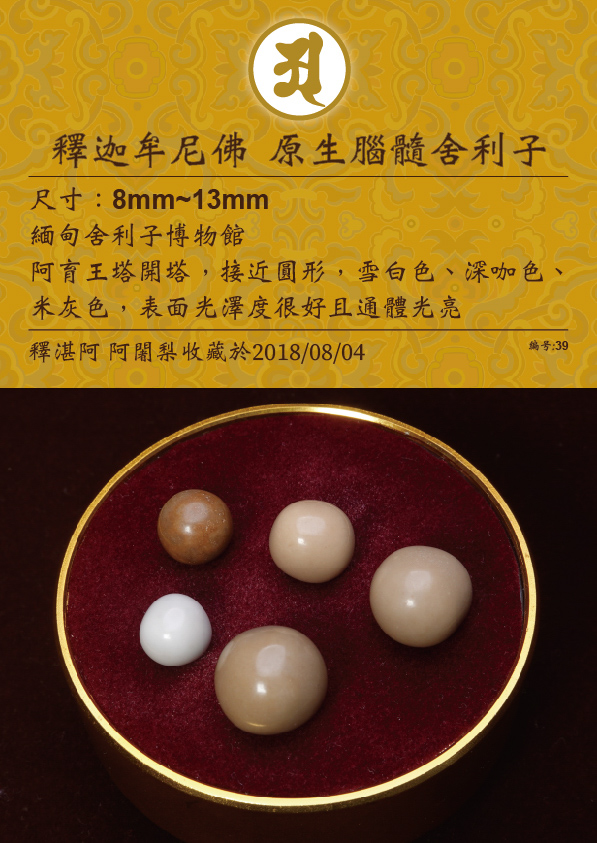 釋迦牟尼佛 原生腦隨舍利