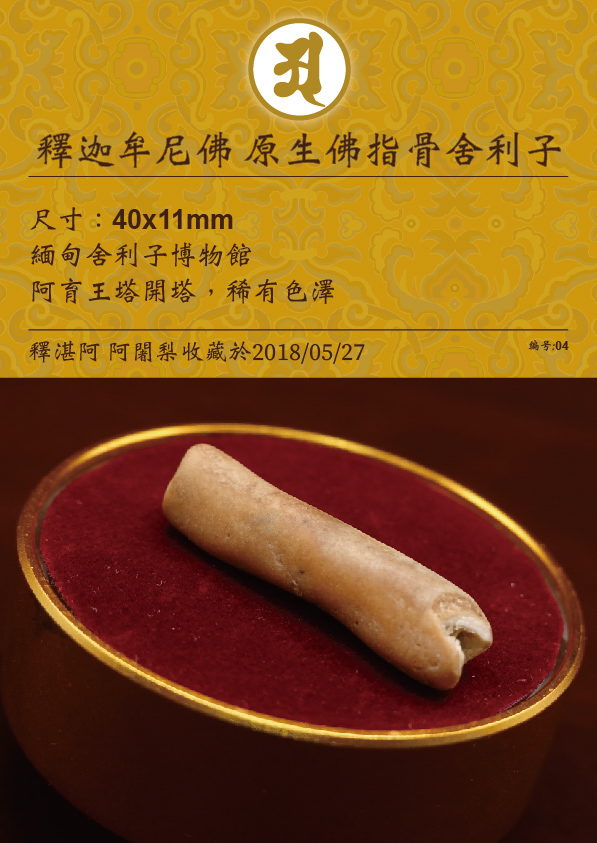 釋迦牟尼佛 原生佛指骨舍利子
