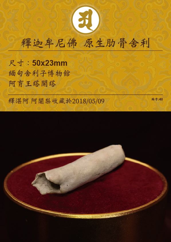 釋迦牟尼佛 原生肋骨舍利