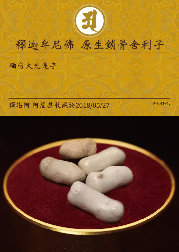 釋迦牟尼佛 原生鎖骨舍利子