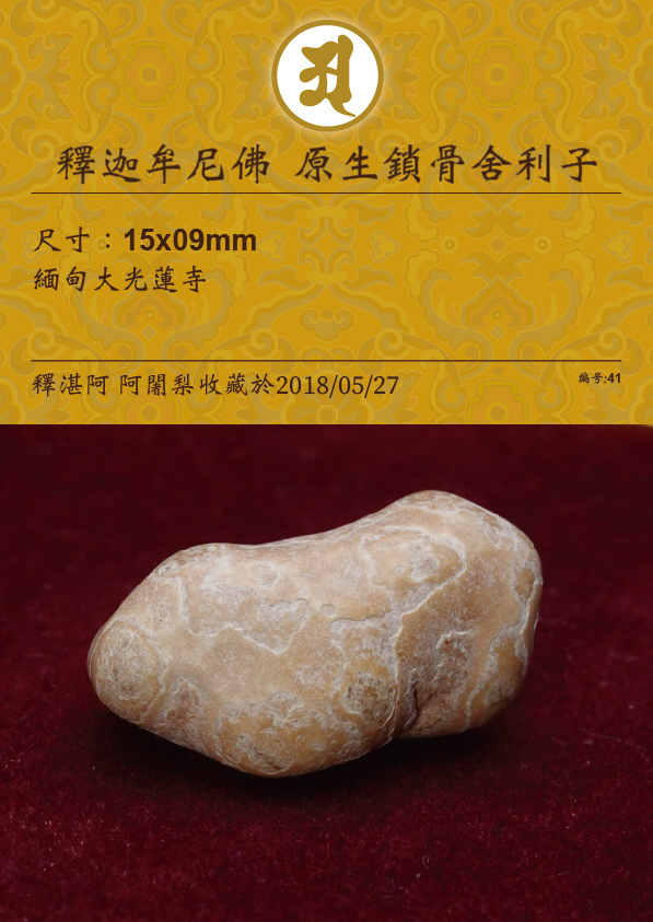 釋迦牟尼佛 原生鎖骨舍利子
