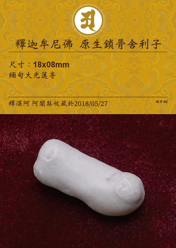 釋迦牟尼佛 原生鎖骨舍利子