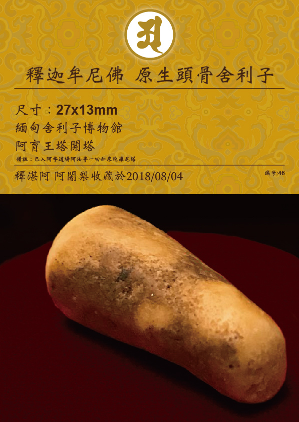 釋迦牟尼佛 原生頭骨舍利子