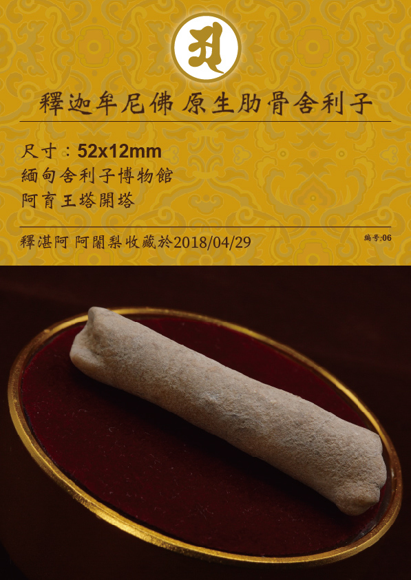 釋迦牟尼佛 原生肋骨舍利子