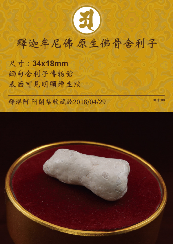 釋迦牟尼佛 原生佛骨舍利子