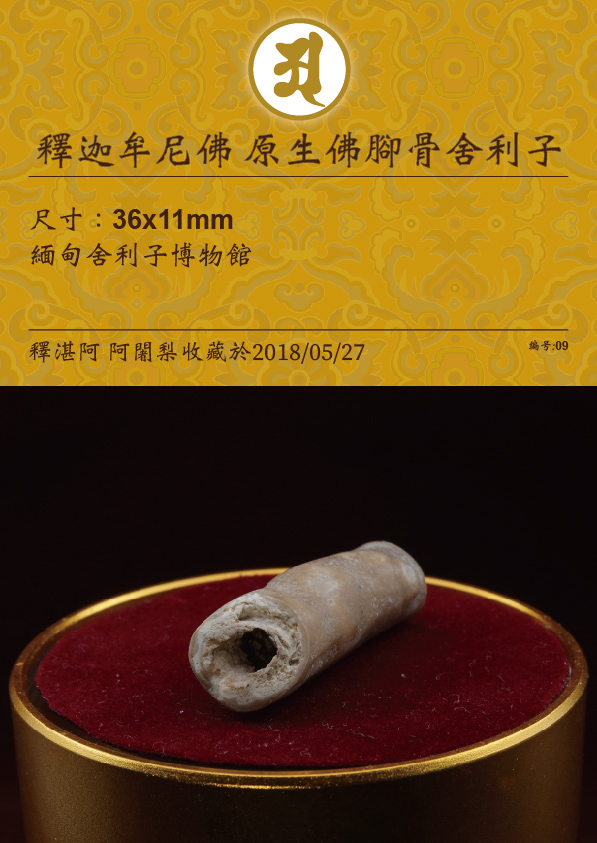 釋迦牟尼佛 原生佛腳骨舍利子