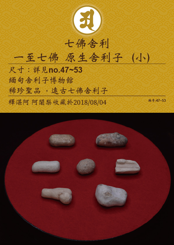 一至七佛 原生舍利子 (小)