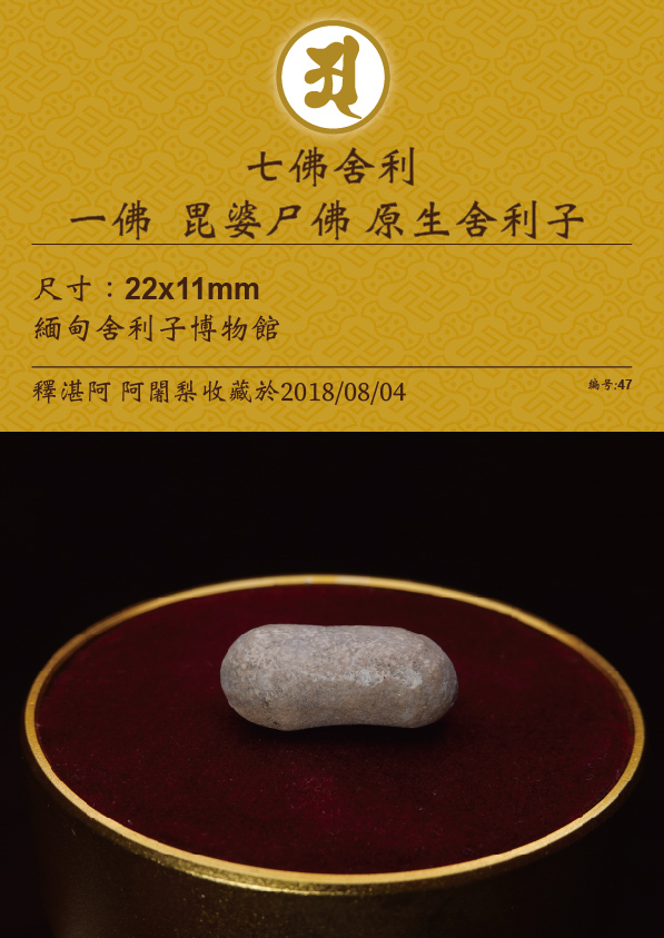 一佛 毗婆尸佛 原生舍利子