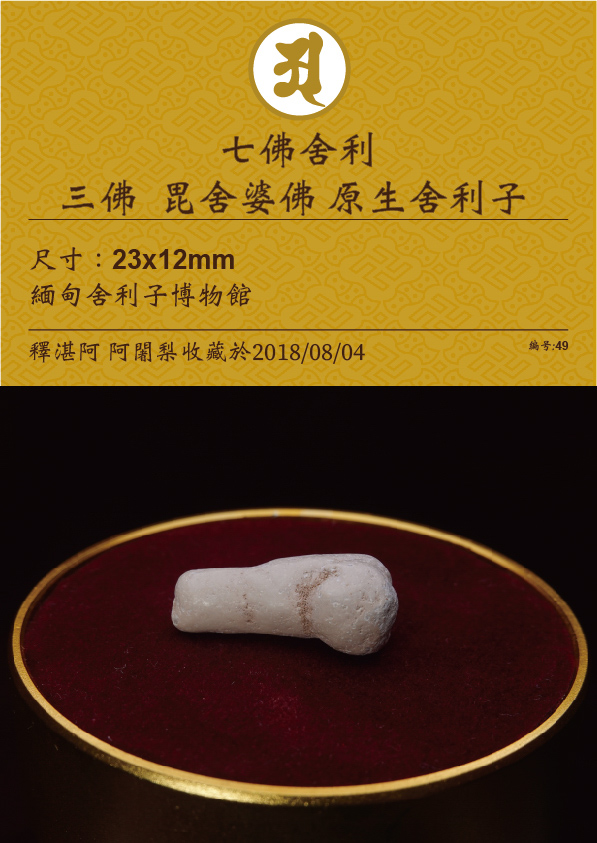 三佛 毗舍婆佛 原生舍利子