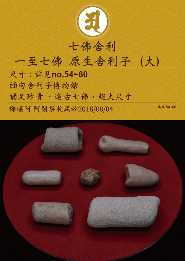 一至七佛 原生舍利子 (大)