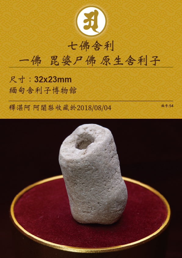 一佛 毗婆尸佛 原生舍利子