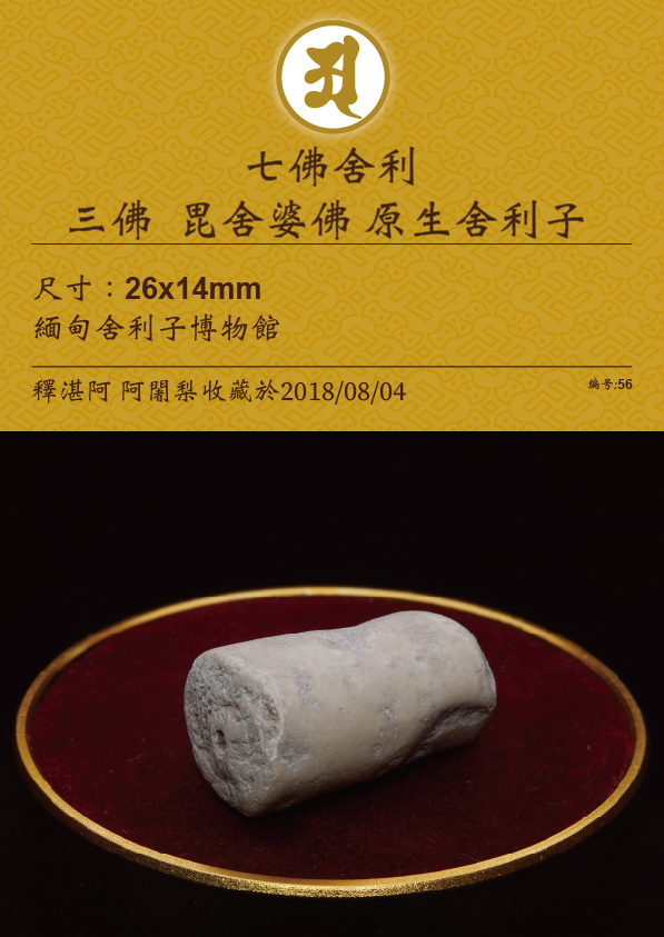 三佛 毗舍婆佛 原生舍利子