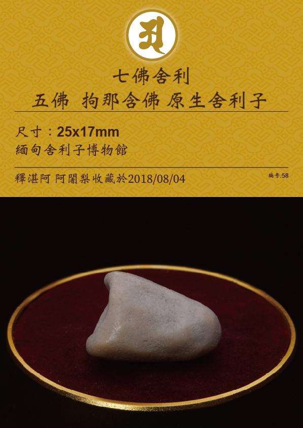 五佛 拘那含佛 原生舍利子