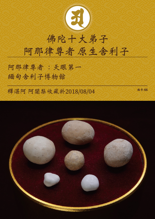 阿那律尊者 原生舍利子