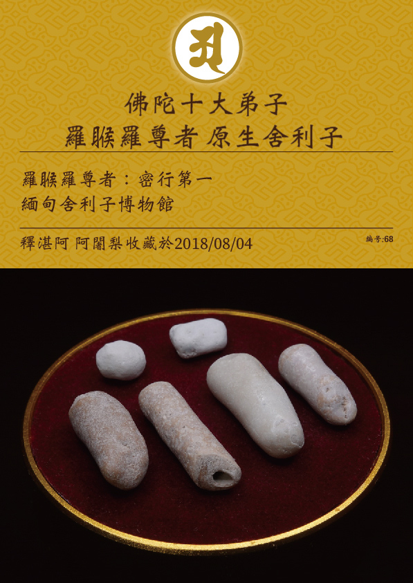 羅睺羅尊者 原生舍利子