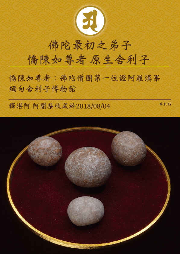 憍陳如尊者 原生舍利子