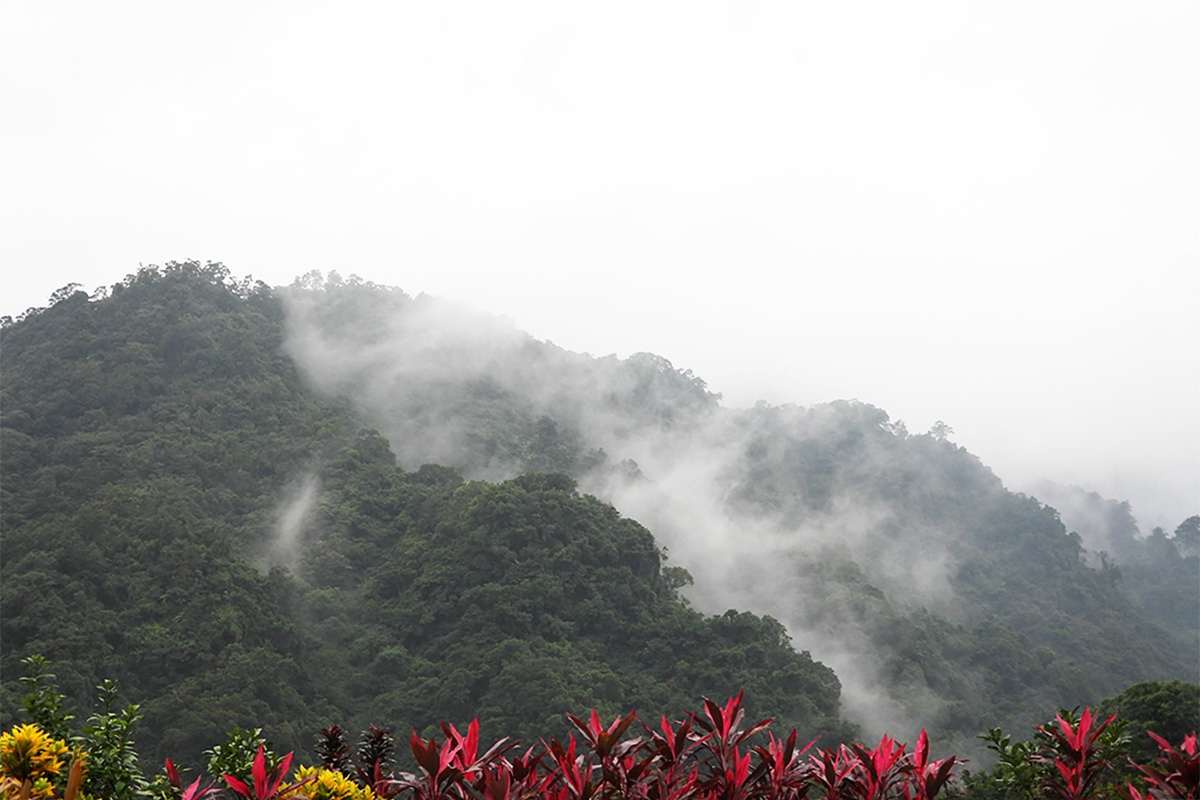 雲霧繚繞的菩提山
