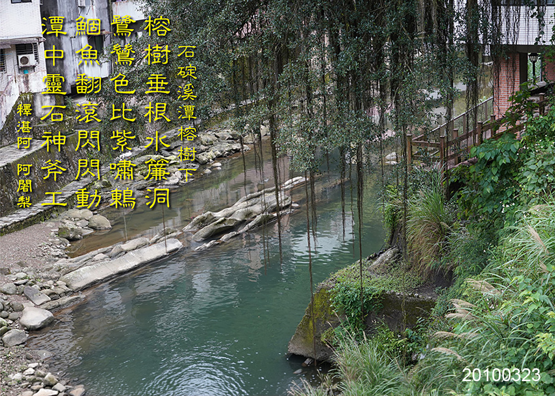 石碇溪潭榕樹下