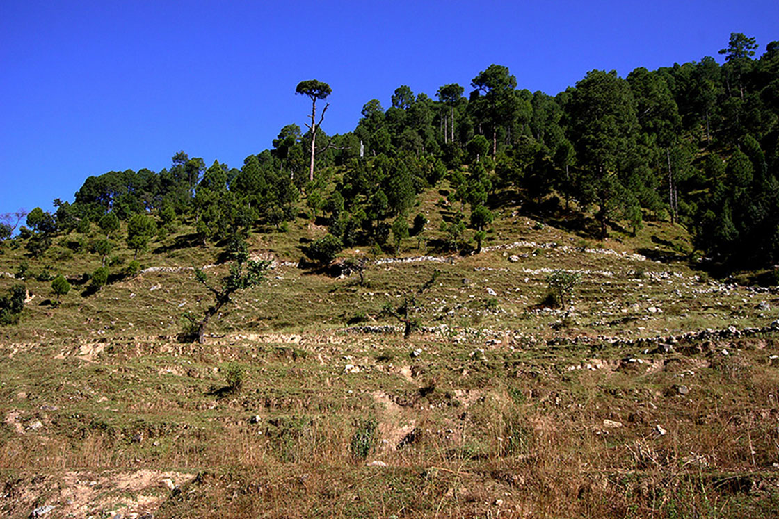 印度道場預選地烏塔拉坎德邦(Uttarakhand)-5