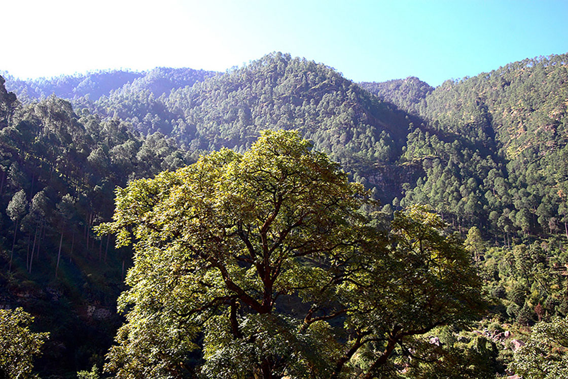 印度道場預選地烏塔拉坎德邦(Uttarakhand)-6