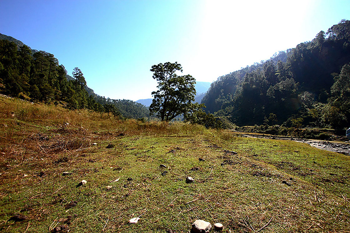 印度道場預選地烏塔拉坎德邦(Uttarakhand)-7